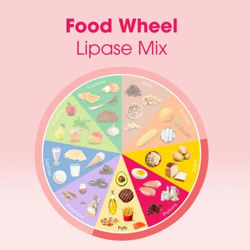 Lipase Mix (108 Capsules)